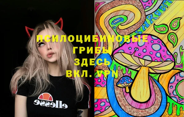 спайс Армянск