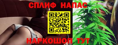 прущие грибы Аргун