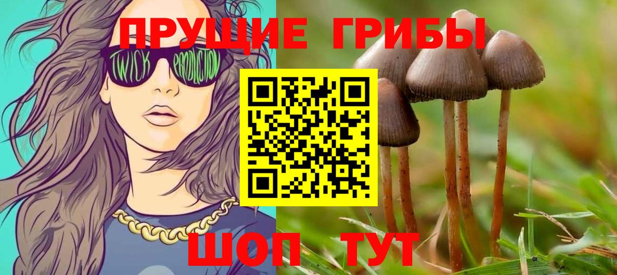 Великий Устюг  Псилоцибиновые грибы прущие грибы  Псилоцибиновые грибы ЛСД  Вход с VPN 